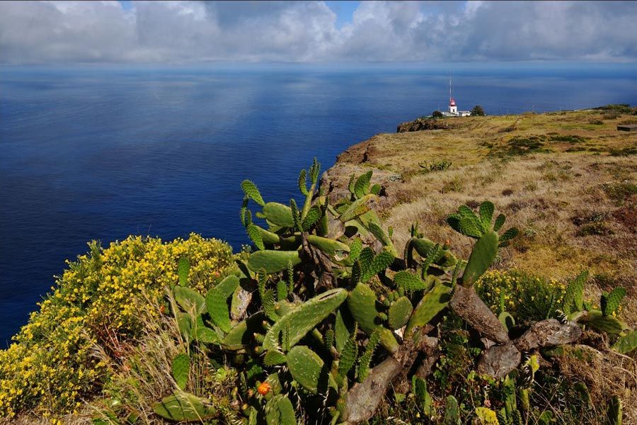 Discover the Majestic Ponta do Pargo Lighthouse Viewpoint in Madeira with Ondas Rent a Car Madeira